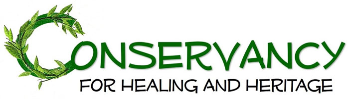 logo for the chosen non-profit